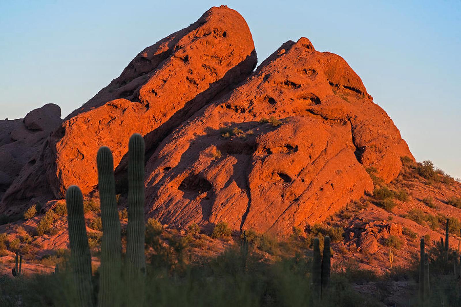 Papago